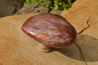 Polished Petrified Red Podocarpus Wood Hearts  x 2 From Mahajanga, Madagascar - TopRock