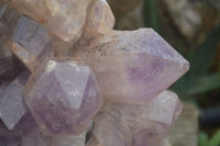 Natural Jacaranda Amethyst Cluster x 1 From Mumbwa, Zambia - TopRock