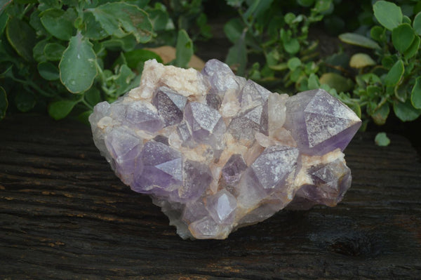 Natural Jacaranda Amethyst Cluster x 1 From Mumbwa, Zambia - TopRock