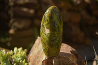 Polished Green Opal Standing Free Forms  x 4 From Madagascar - TopRock