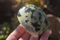 Polished Leopard Stone Free Forms  x 6 From Inyanga, Zimbabwe