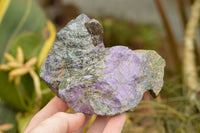 Natural Rough Stichtite & Serpentine Specimens  x 8 From Barberton, South Africa - TopRock