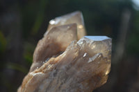 Natural Cascading White Phantom Smokey Quartz Clusters  x 3 From Luena, Congo - TopRock