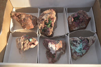 Natural Pink Salrose Cobaltion Dolomite Specimens x 6 From Kakanda, Congo