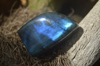 Polished Labradorite Standing Free Forms With Blue & Gold Flash  x 6 From Tulear, Madagascar - TopRock