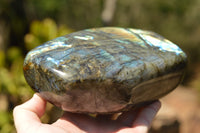 Polished Blue & Gold Labradorite Standing Free Form  x 1 From Tulear, Madagascar - TopRock