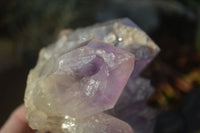 Natural Jacaranda Amethyst Clusters  x 2 From Zambia - Toprock Gemstones and Minerals 