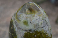 Polished Green Opal Standing Free Forms  x 2 From Antsirabe, Madagascar - Toprock Gemstones and Minerals 