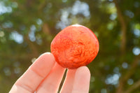 Polished Small Carnelian Palm Stones / Gallets - sold per kg - From Madagascar - TopRock