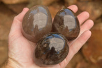 Polished Large Morion Smokey Quartz Eggs x 5 From Madagascar - TopRock