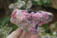 Natural Pink Salrose Cobaltion Dolomite Specimens  x 6 From Kakanda, Congo