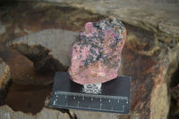 Natural Rough Red Rhodonite Specimens x 6 From Zimbabwe