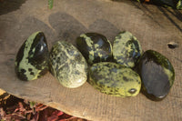 Polished  Spotted Leopard Stone Free Forms  x 6 From Inyanga, Zimbabwe