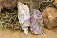 Natural Rough Stichtite & Serpentine Specimens  x 8 From Barberton, South Africa - TopRock