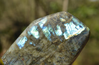 Polished Blue & Gold Labradorite Standing Free Form  x 1 From Tulear, Madagascar - TopRock