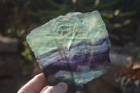 Polished Watermelon Fluorite Slabs  x 2 From Uis, Namibia