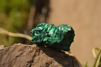 Natural Chatoyant Silky Malachite Specimens  x 6 From Kasompe, Congo - TopRock