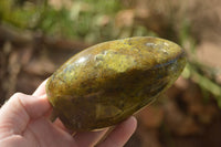 Polished Green Opal Standing Free Forms  x 4 From Madagascar - TopRock