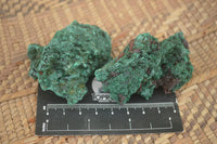 Natural Silky Malachite Specimens  x 14 From Kasompe, Congo - TopRock