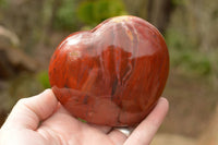 Polished Petrified Red Podocarpus Wood Hearts  x 2 From Mahajanga, Madagascar - TopRock