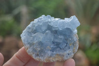 Natural Blue Celestite Crystal Specimens  x 3 From Sakoany, Madagascar - Toprock Gemstones and Minerals 