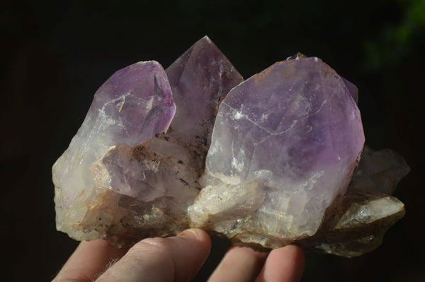 Natural Jacaranda Amethyst Clusters x 2 From Zambia