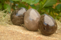 Polished Large Morion Smokey Quartz Eggs x 5 From Madagascar - TopRock