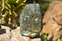 Polished Blue & Gold Labradorite Standing Free Form  x 1 From Tulear, Madagascar - TopRock