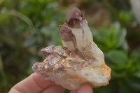 Natural Red Hematoid Quartz Specimens x 12 From Karoi, Zimbabwe - TopRock