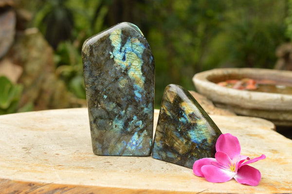 Polished Labradorite Standing Free Forms With Blue & Gold Flash  x 2 From Tulear, Madagascar - TopRock