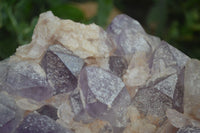 Natural Jacaranda Amethyst Cluster x 1 From Mumbwa, Zambia - TopRock