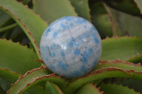 Polished Blue Spotted Spinel Quartz Spheres x 2 From Madagascar