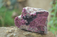 Natural Pink Salrose Cobaltion Dolomite Specimens  x 6 From Kakanda, Congo