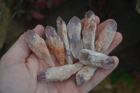 Natural Single Sugar Amethyst Crystals  x 70 From Zambia - Toprock Gemstones and Minerals 