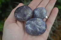 Polished Mini Purple Lepidolite Palm Stones  x 20 From Madagascar - Toprock Gemstones and Minerals 