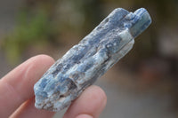 Natural Single Blue Kyanite Crystals  x 35 From Karoi, Zimbabwe - Toprock Gemstones and Minerals 