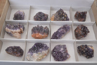 Natural Dark Amethyst Clusters (Stone Sealed) x 12 From Zambia