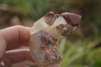 Natural Red Hematoid Quartz Specimens x 12 From Karoi, Zimbabwe - TopRock