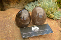 Polished Large Morion Smokey Quartz Eggs x 5 From Madagascar - TopRock