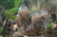 Natural Cascading White Phantom Smokey Quartz Clusters  x 3 From Luena, Congo - TopRock