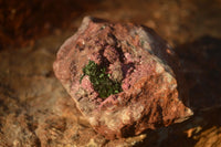 Natural Pink Salrose Cobaltion Dolomite Specimens x 6 From Kakanda, Congo