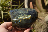 Polished Labradorite Standing Free Forms With Intense Blue & Gold Flash x 2 From Sakoany, Madagascar - TopRock