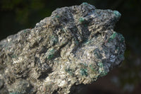 Natural Rare Emerald In Mica Schist  x 2 From Sandawana, Zimbabwe - Toprock Gemstones and Minerals 