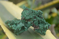 Natural Silky Malachite Specimens  x 14 From Kasompe, Congo - TopRock