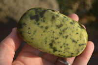 Polished  Spotted Leopard Stone Free Forms  x 6 From Inyanga, Zimbabwe