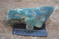 Polished  One Side Polished Emerald Mtorolite Plates  x 4 From Zimbabwe