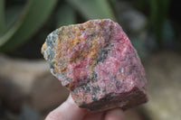 Natural Rough Red Rhodonite Specimens x 6 From Zimbabwe