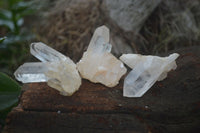 Natural Small Mixed Quartz Clusters  x 53 From Madagascar - TopRock