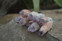 Natural Single Sugar Amethyst Crystals  x 70 From Zambia - Toprock Gemstones and Minerals 