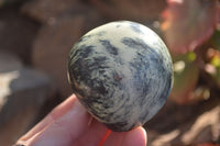 Polished Leopard Stone Free Forms  x 6 From Inyanga, Zimbabwe